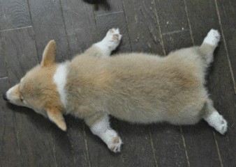 10个妙招 教你夜夜好眠（二）