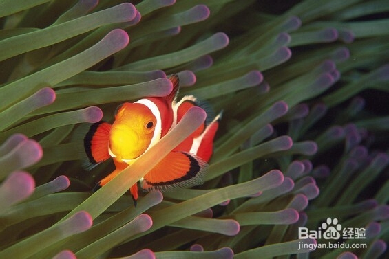 如何快乐的学习和工作!