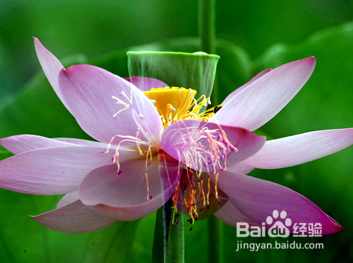 二次曝光摄影技巧