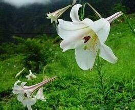 预防近视眼,从良好的用眼习惯做起