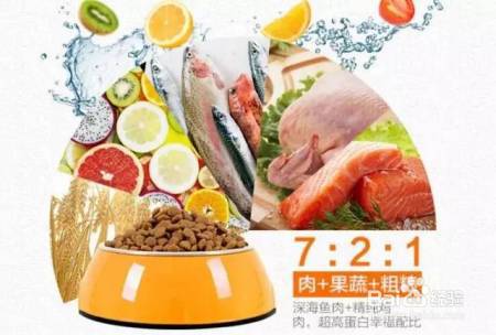 家庭和谐养猫,这些你都做对了吗?