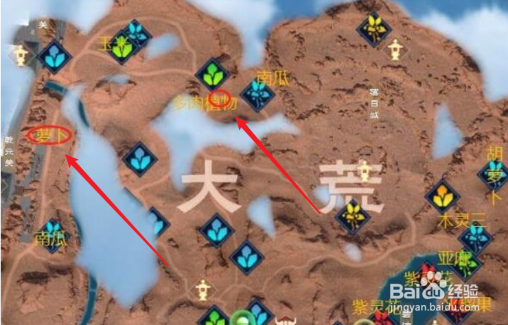 太荒初境金矿位置