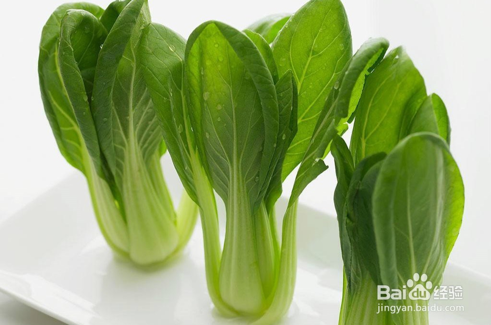 如何专业的挑选青菜