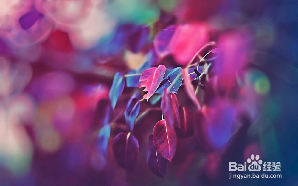 读皮亚杰关于德育培养感悟