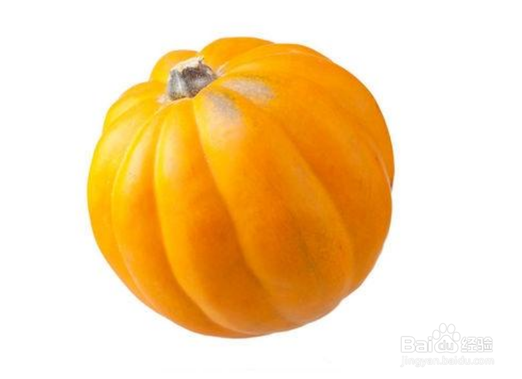 各器官最喜欢的食物