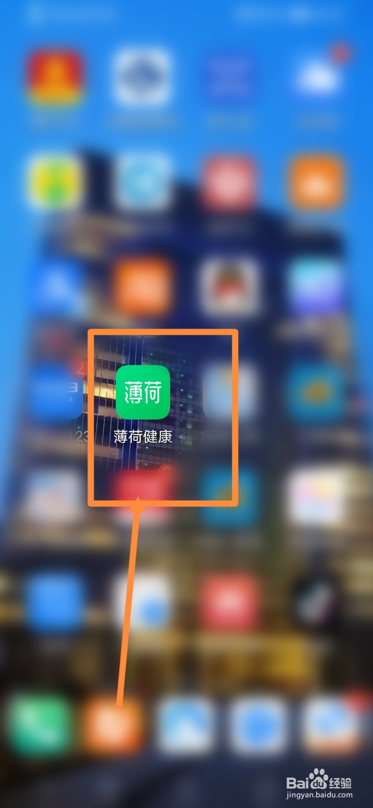 薄荷健康如何查看我的收藏