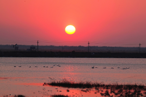 大学生应该做好的创业准备