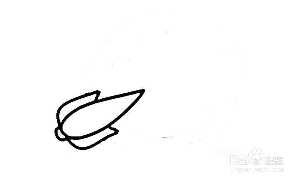 如何画出一个大白菜？