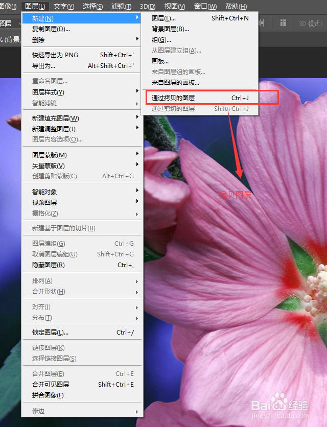 使用PS高斯模糊增加光晕