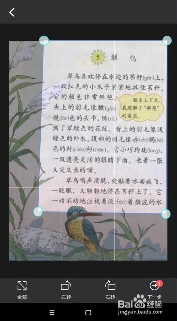 图片文字怎么翻译成中文 怎么翻译图片上的文字