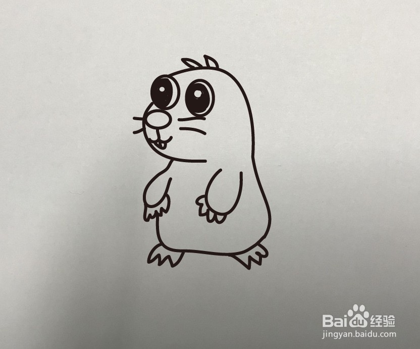 如何画大眼睛树懒的简笔画