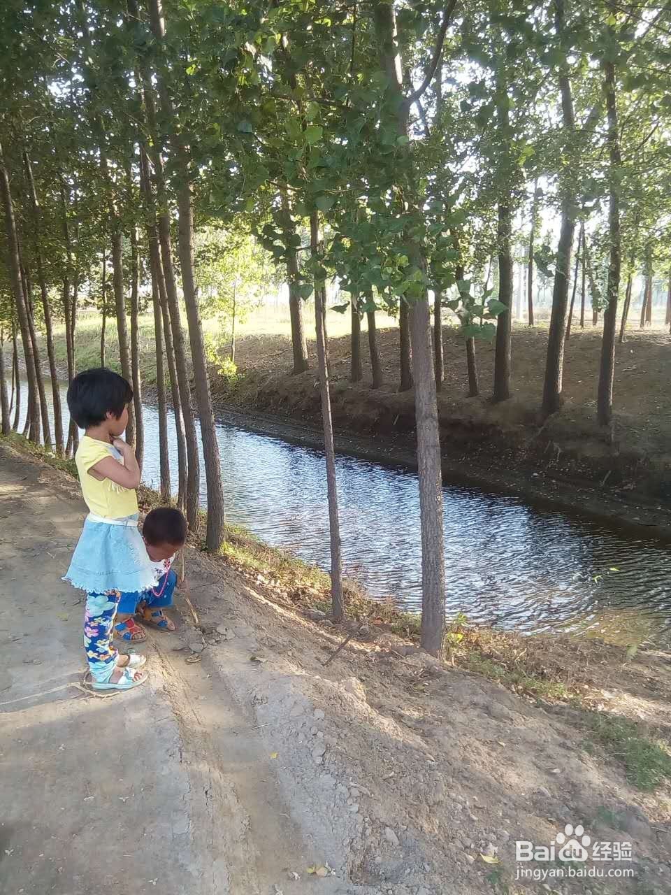 如何增加宝宝食欲