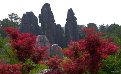 北京到云南旅游攻略