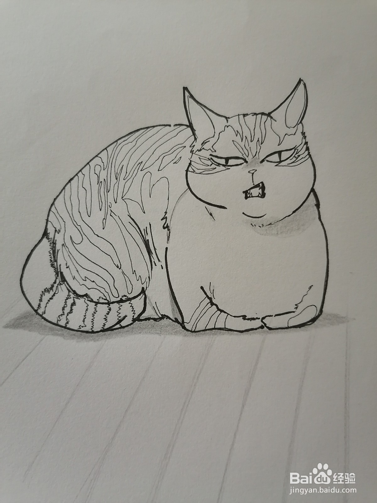猫猫爱挡路简笔画