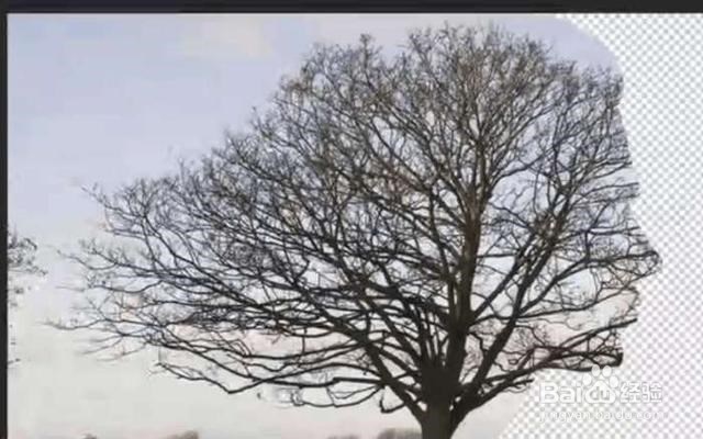 Photoshop飞鸟双重曝光效果