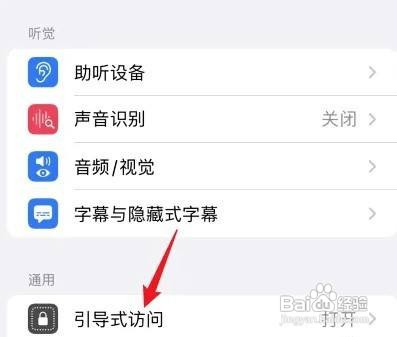 iPhoneX如何设置引导式访问呢？