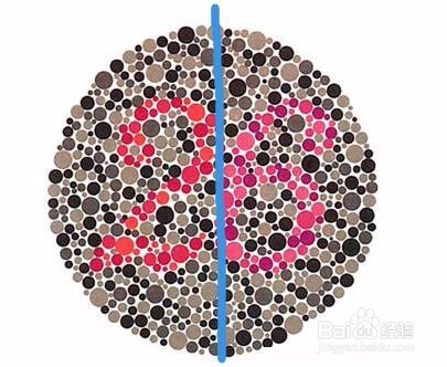 色盲检查图（第五版）的使用方法