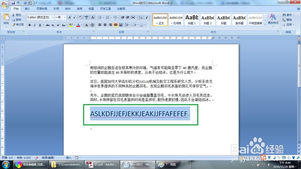 Word怎么切换英文字母拼音的大小写（两种方法）