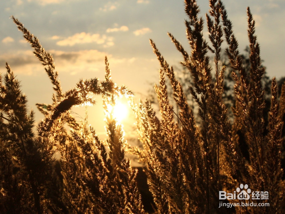 如何正确认识自己：[1]建立性格档案
