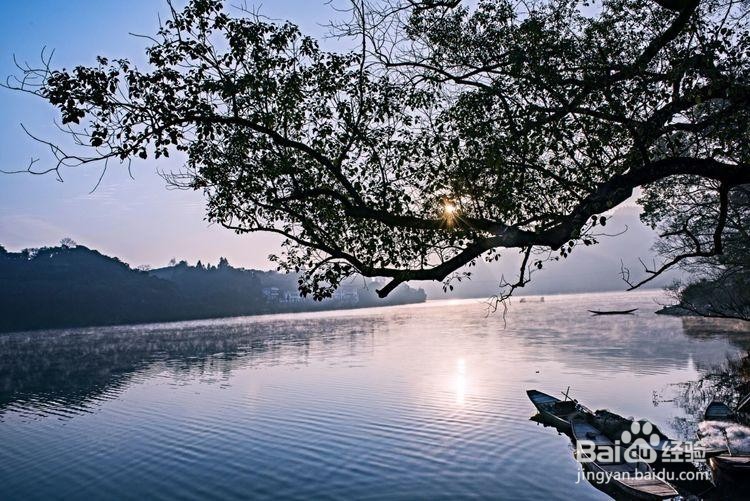 卖花渔村游玩攻略