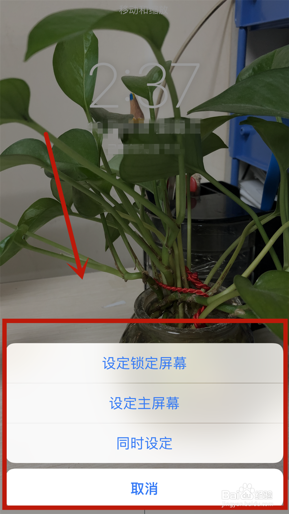 iphone怎么设置动态壁纸
