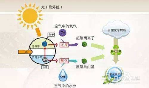 新车除甲醛其实并不难 用对方法超轻松