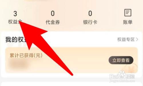 如何使用翼支付APP查看权益金消费记录