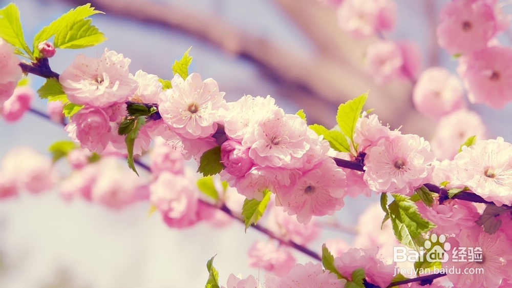 增强你的谈话魅力