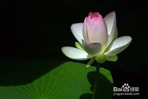 在自己的小家庭里，怎样做一个称职的丈夫？