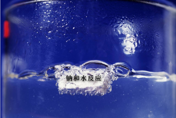 什么金属可以与水反应