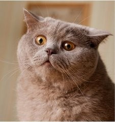 日常生活中怎样避免成为一个胖子？