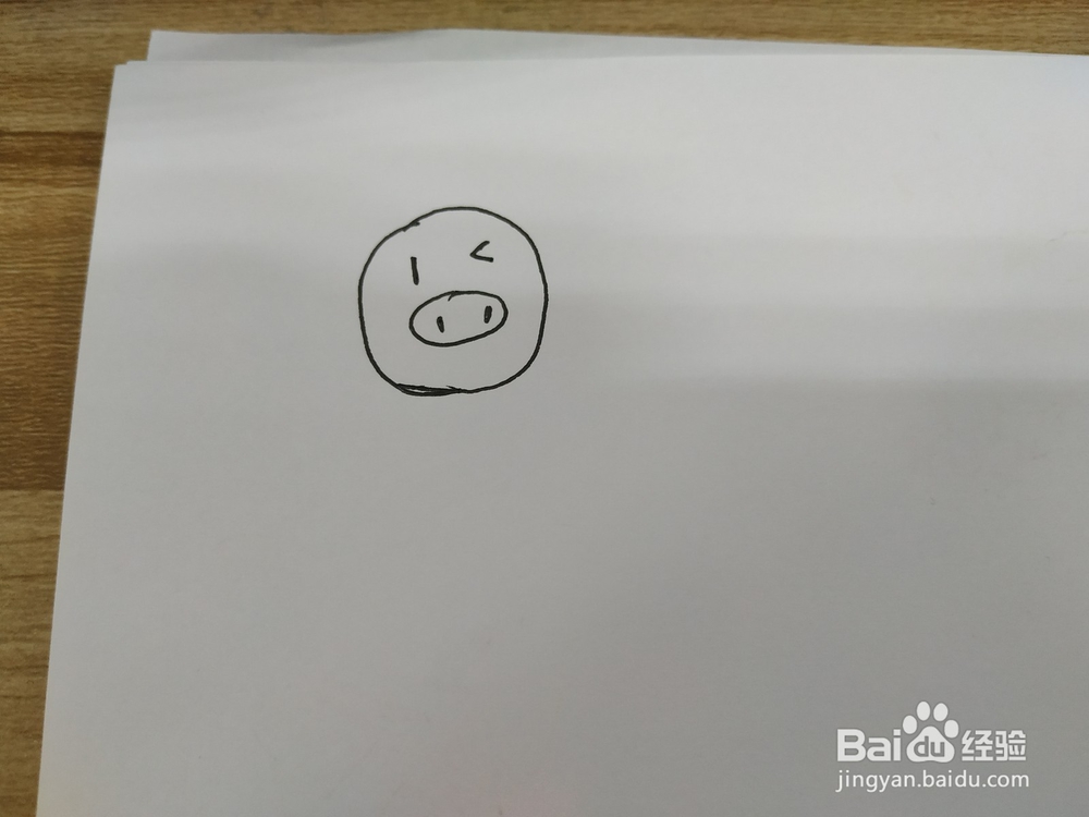 蝴蝶结可爱小猪简笔画怎么画,怎么画小猪