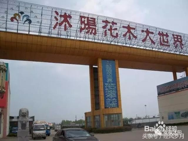 带你细数那些年沭阳有什么