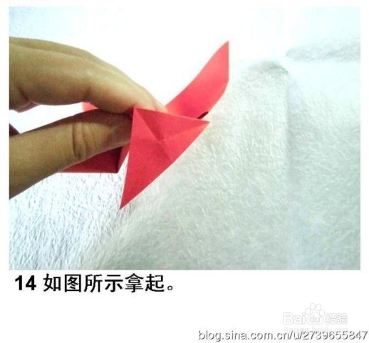 纸蝴蝶之折纸凤尾蝶（图解）