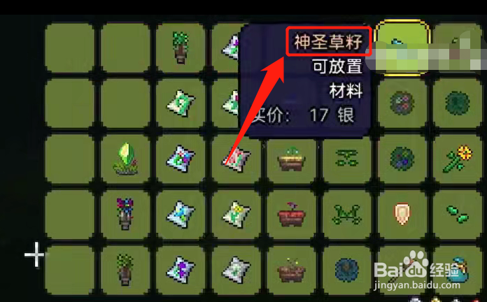 泰拉瑞亚神圣环境同化方法介绍