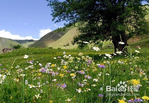 仙女山芙蓉洞二日游
