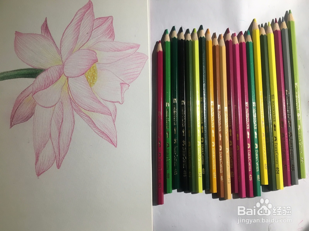 手绘画一朵荷花的彩铅画 莲花铅笔画