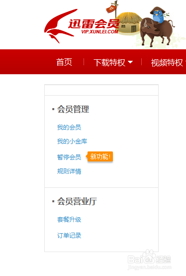 使用迅雷暂停会员功能，迅雷省钱方法