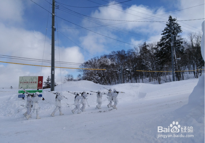 一条性价比爆棚的万元以下日本北海道观雪路线
