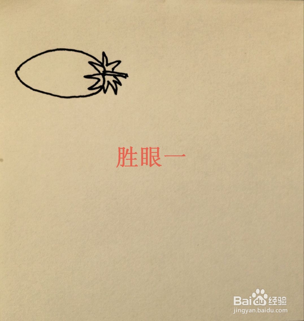 怎样画切开的小西红柿呢?