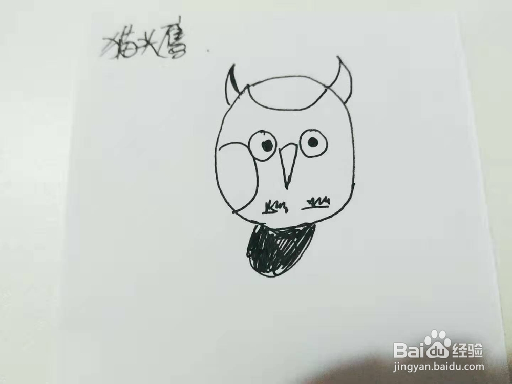 卡通猫头鹰简笔画怎么画呢