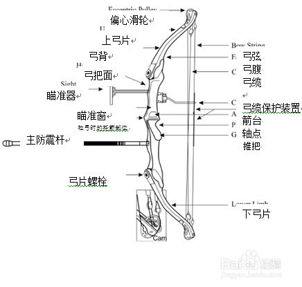 射箭运动中的一些基本常识