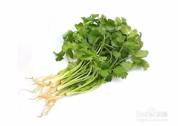 胃痛怎么办吃这些东西给你意想不到的效果