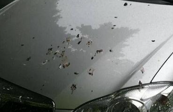 污渍渗入车漆怎么处理