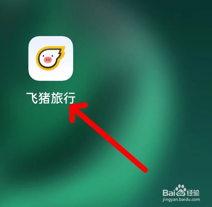 飞猪旅行在哪里查看飞猪钱包