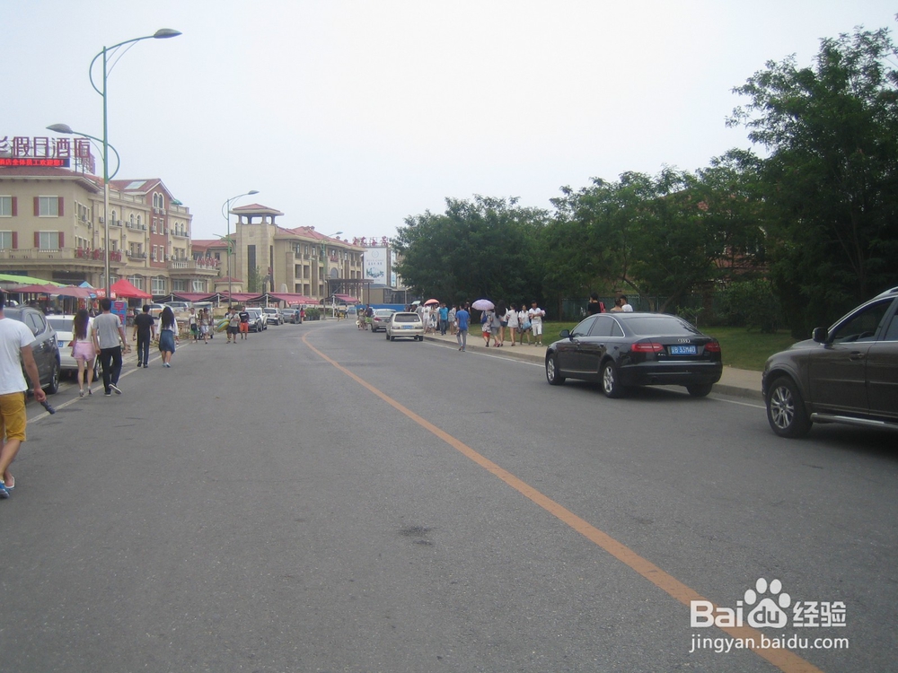 怎样告诉孩子安全过马路--21