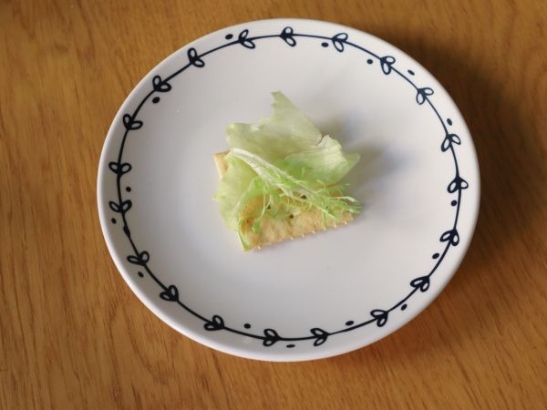 挪威三文鱼牛油果苏打塔塔