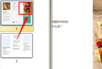 PDF编辑器中对显示页面的分割方法？