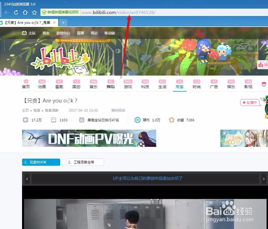 B站（bilibili）的视频如何下载