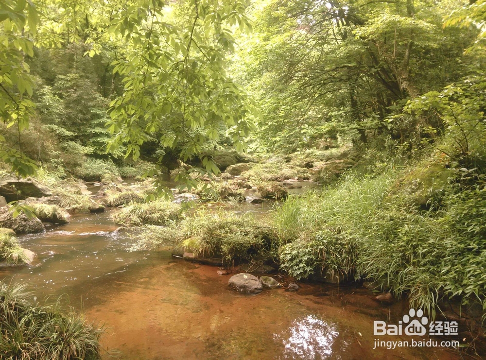 浙江台州天台山游玩攻略，台州旅游景点top
